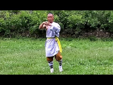 kung fu videos training